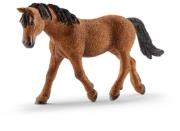 Opakowanie Bashkir Curly klacz Figurka