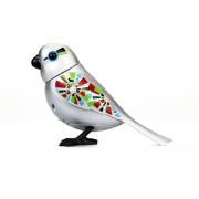 Opakowanie DigiBirds 3 Sylvain seria limitowana