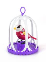 Opakowanie DigiBirds z klatką 2 Graffiti