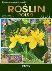 Ilustrowana encyklopedia roślin Polski Atlas. Autor: Anna Przybyłowicz. Łukasz Przybyłowicz. Dadada.pl Okładka książki Ilustrowana encyklopedia roślin Polski Atlas