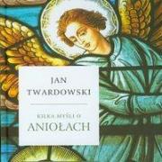 Kilka myśli o aniołach - Jan Twardowski  DiKŚW. Autor: Jan Twardowski. Dadada.pl Okładka książki Kilka myśli o aniołach - Jan Twardowski  DiKŚW