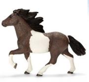 Opakowanie Kucyk Rasy Islandzkiej Ogier