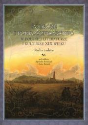 Opakowanie Podróże i podróżopisarstwo w polskiej literaturze i kulturze XIX wieku