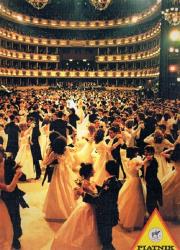 Opakowanie Puzzle Bal 1000