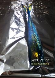 Okładka książki Sardynka