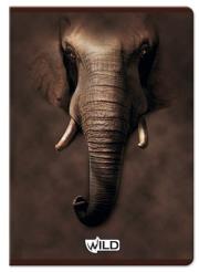 Opakowanie Zeszyt A5 w kratkę 60 kartek Wild 5 sztuk mix