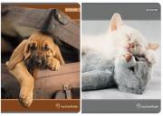 Opakowanie Zeszyt A5 w kratkę 80 kartek Rachel Hale 5 sztuk mix