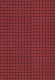 Opakowanie Zeszyt B5 Paper-oh Quadro w linie 56 kartek Red on Black