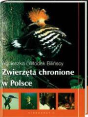 Zwierzęta chronione w Polsce Videograf II. Autor: Agnieszka I Włodek Bilińscy. Dadada.pl Okładka książki Zwierzęta chronione w Polsce Videograf II