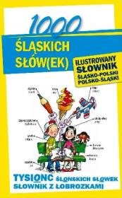 1000 śląskich słów(ek). Ilustrowany słownik. Autor: Sokół-Galwas Ewelina. Dadada.pl Okładka książki 1000 śląskich słów(ek). Ilustrowany słownik