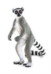 Opakowanie Lemur katta ANIMAL PLANET
