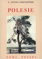 Polesie. Cuda Polski BR. Autor: Ossendowski Antoni Ferdynand. Dadada.pl Okładka książki Polesie. Cuda Polski BR