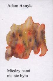 Okładka książki Między nami nic nie było