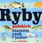 Ryby polskich stawów, rzek i jezior. Autor: Fisher Władysław. Dadada.pl Okładka książki Ryby polskich stawów, rzek i jezior