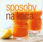 Sposoby na kaca. Autor: Ben Reed. Dadada.pl Okładka książki Sposoby na kaca