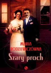 Okładka książki Szary proch