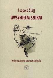 Okładka książki Wyszedłem szukać