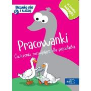 Bawię się i uczę. Pięciolatek Pracowanki. Autor: Kwaśniewska Małgorzata. Dadada.pl Okładka książki Bawię się i uczę. Pięciolatek Pracowanki