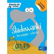 Bawię się i uczę. Sześciolatek Śladowanki. Autor: Kamińska Krystyna. Dadada.pl Okładka książki Bawię się i uczę. Sześciolatek Śladowanki