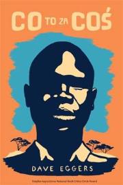 Okładka książki Co to za coś