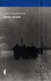 Farby wodne. Autor: Lidia Ostałowska. Dadada.pl Okładka książki Farby wodne