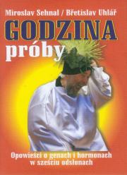 Godzina próby. Autor: Sehnal Miroslav, Uhlar Bretislav. Dadada.pl Okładka książki Godzina próby