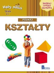 Okładka książki Mądry maluch. Poznaj kształty
