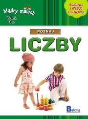 Okładka książki Mądry maluch. Poznaj liczby