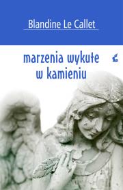 Okładka książki Marzenia wykute w kamieniu