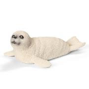 Opakowanie Młoda foka bpz