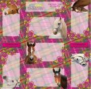 Opakowanie Nalepki na zeszyty Konie