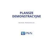 Okładka książki Plansze demonstracyjne Młodsze przedszkolaki