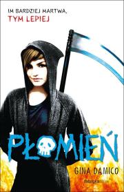 Płomień. Autor: Gina Damico. Dadada.pl Okładka książki Płomień