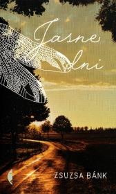 Jasne dni. Autor: Bank Zsuzsa. Dadada.pl Okładka książki Jasne dni