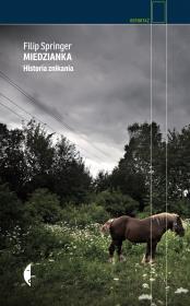 Miedzianka. Autor: Filip Springer. Dadada.pl Okładka książki Miedzianka