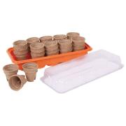 Opakowanie Mini szklarnia