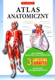 Okładka książki Atlas anatomiczny
