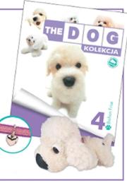 Opakowanie Bichon Frise