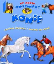 Okładka książki Co kryją okienka? Konie