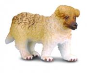 Okładka książki COLLECTA PIES RASY OWCZAREK SZKOCKI COLIE ROZMIAR S BPZ