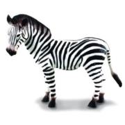 Okładka książki COLLECTA ZEBRA ROZMIAR L BPZ-COLLECTA