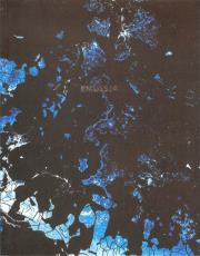 Emulsja. Autor: Praca zbiorowa. Dadada.pl Okładka książki Emulsja