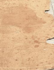 Okładka książki HONKY