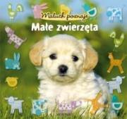 Maluch poznaje - małe zwierzęta. Autor:   Praca zbiorowa. Dadada.pl Okładka książki Maluch poznaje - małe zwierzęta