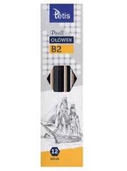 Opakowanie Ołówek PIXELL twardość B2 12 szt