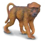 Opakowanie Pawian samiec - rozmiar M