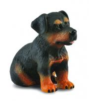 Okładka książki Pies rottweiler szczeniak