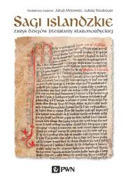 Okładka książki Sagi islandzkie . Zarys dziejów literatury staronordyckiej