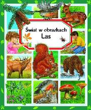 Świat w obrazkach - Las w.2013. Autor: Beaumont Emilie. Dadada.pl Okładka książki Świat w obrazkach - Las w.2013