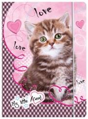 Opakowanie Teczka z guma A4 My Little Friend bpz